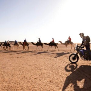 Yamaha Ténéré 700 World Raid Motorcykel 2023