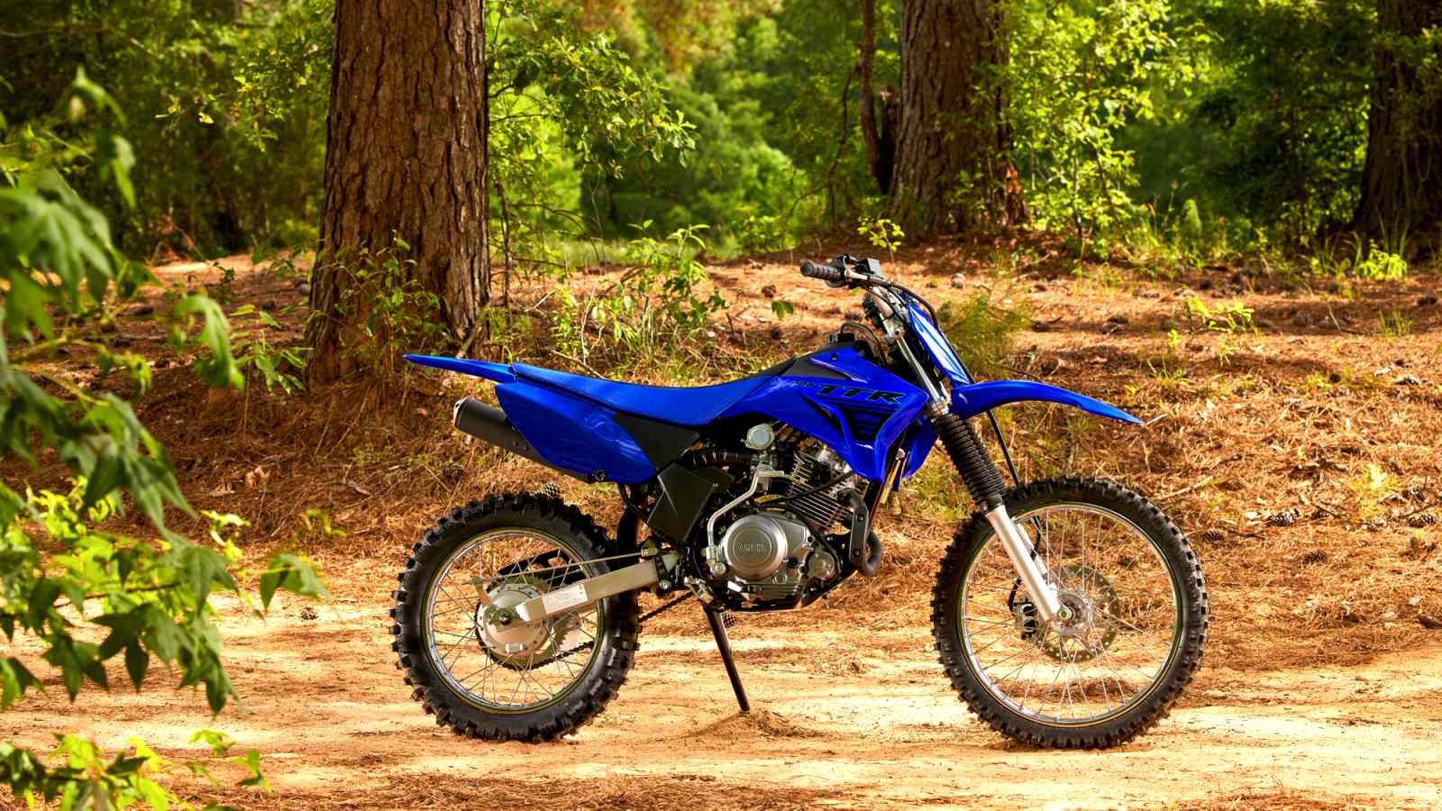 Yamaha TT R-125 LW Crosser Model 2023