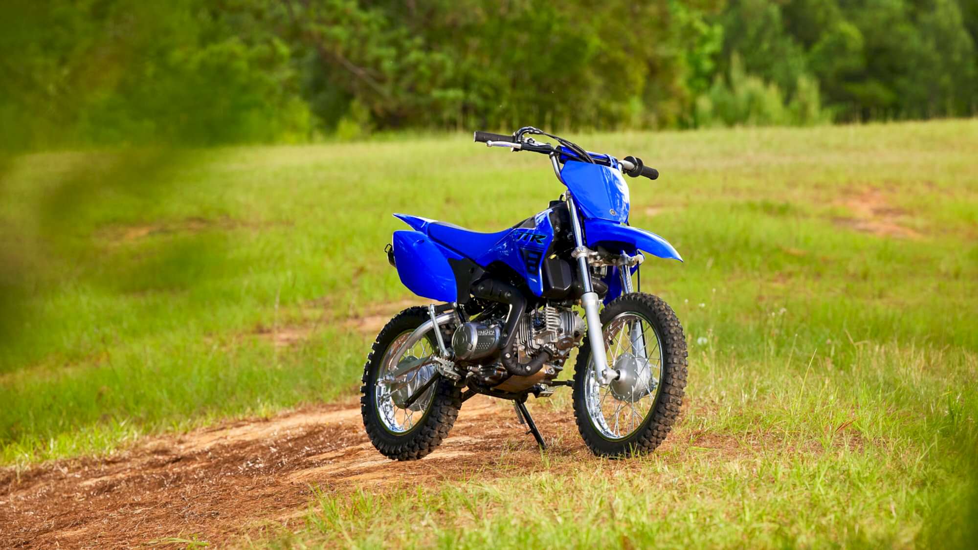 Yamaha TT-R110 Crosser model 2024