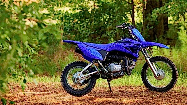 Yamaha TT-R110 Crosser model 2024