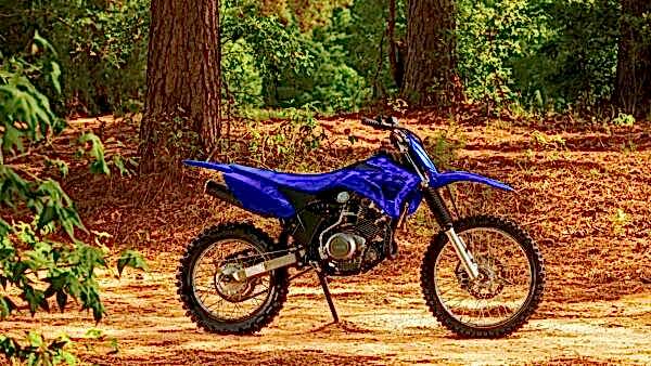 2023 Yamaha TTR 125 LW