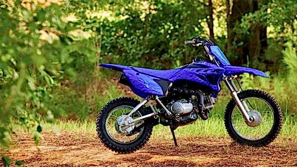 2024 Yamaha TTR 110