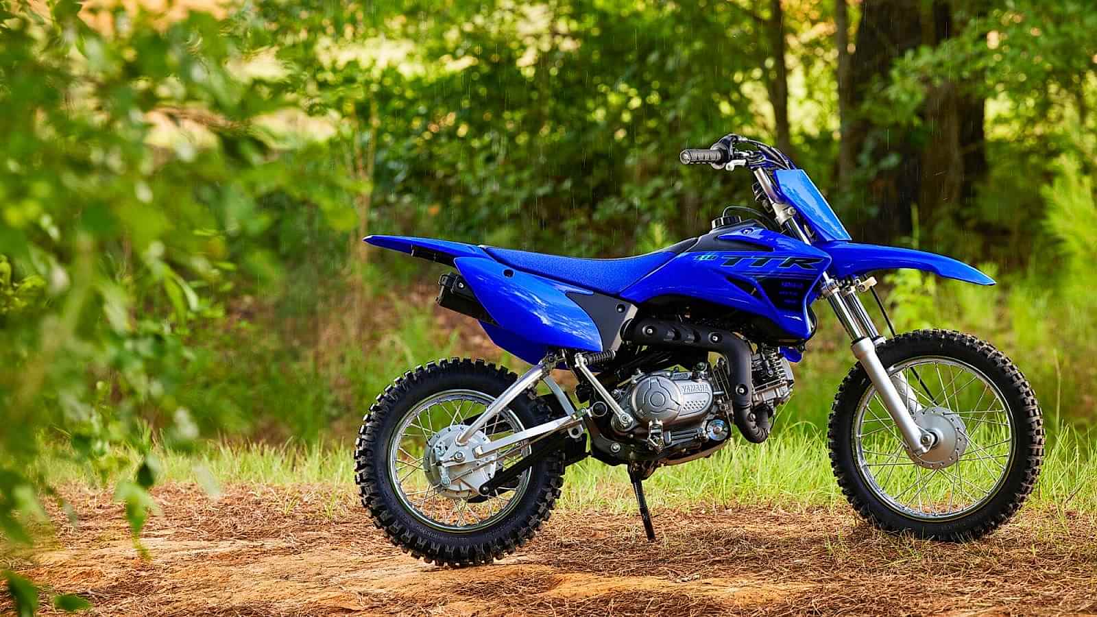 2024 Yamaha TTR 110