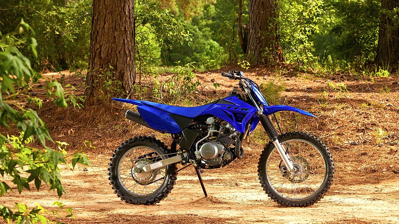 2024 Yamaha TTR 125 LW