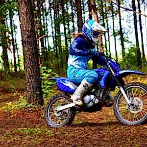 2024 Yamaha TTR 125 LW