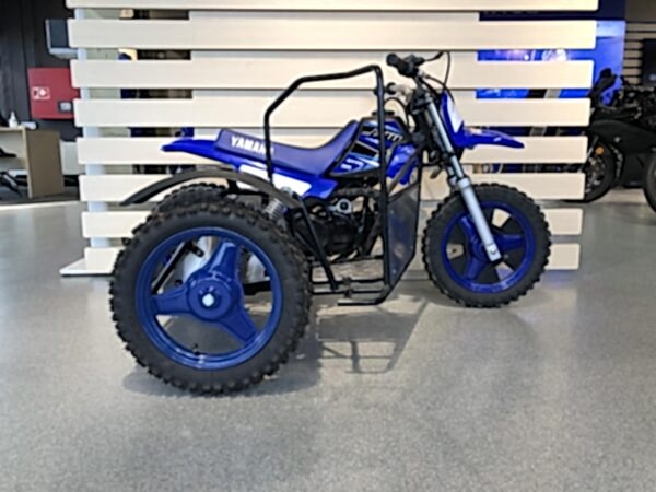 2025 Yamaha PW 50 med sidevogn