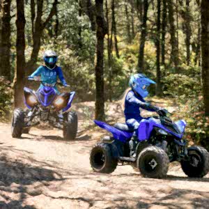 2024 Yamaha YFM110R ATV