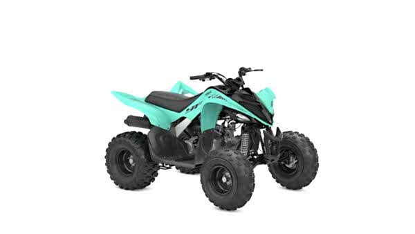 2024 Yamaha YFM110R ATV