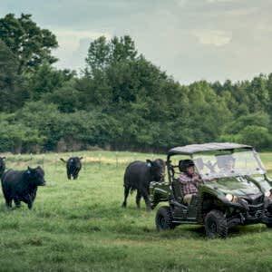 2023 Yamaha Viking EPS UTV