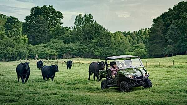 2023 Yamaha Viking EPS UTV