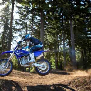 2025 Yamaha YZ 250 LC