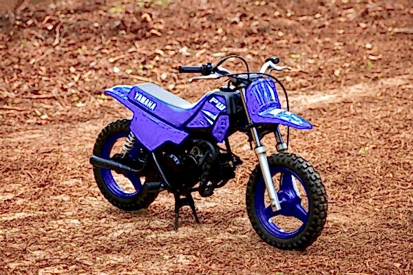 2025 Yamaha PW 50