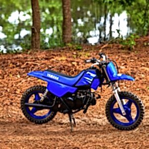 2025 Yamaha PW 50