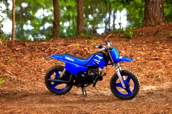 2025 Yamaha PW 50